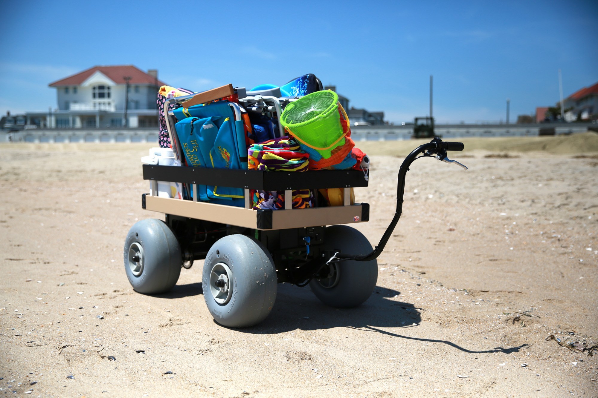 Electric Beach Cart 24 x 48 - Electric Beach Cart